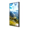 Hisense High Brightness WF 2500 Nits 49"